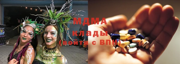 шишки Ельня