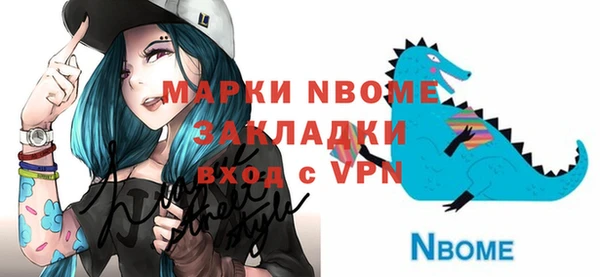 шишки Ельня