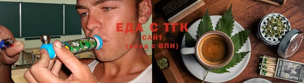 шишки Ельня
