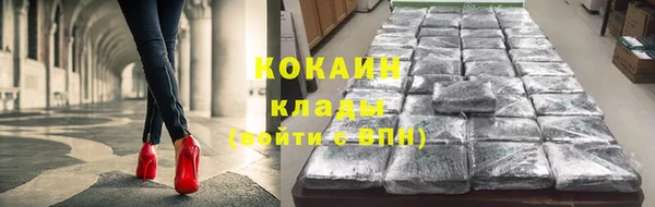 шишки Ельня