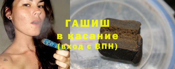 шишки Ельня