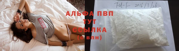 шишки Ельня