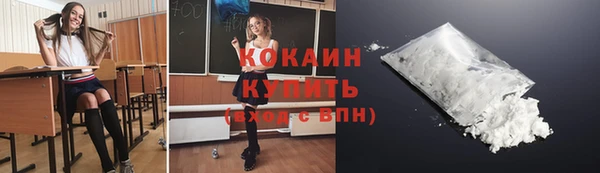 шишки Ельня