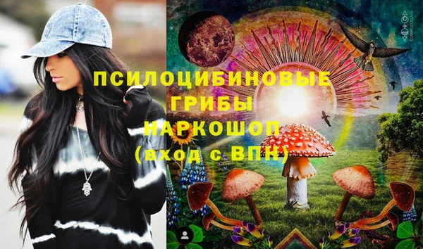 шишки Ельня