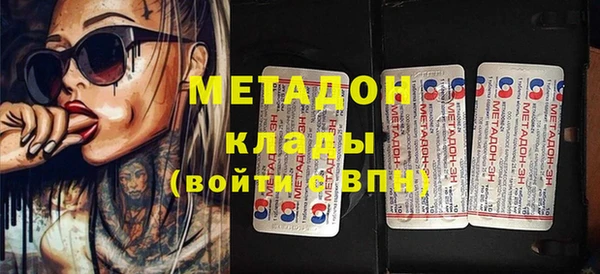 шишки Ельня