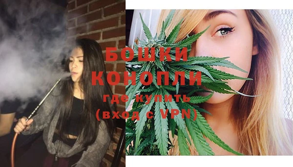 шишки Ельня