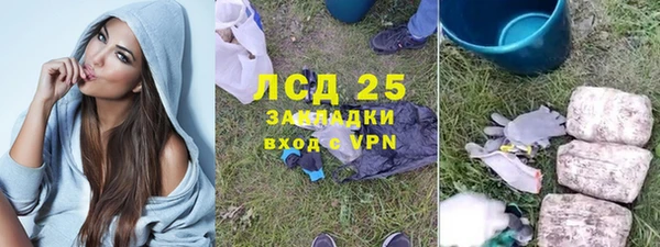 шишки Ельня