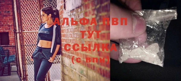 шишки Ельня