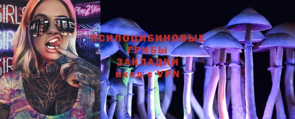 шишки Ельня