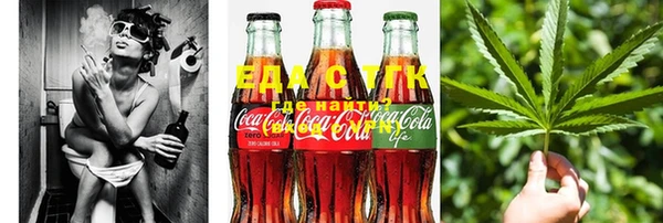 шишки Ельня