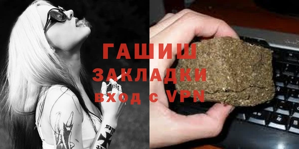 шишки Ельня