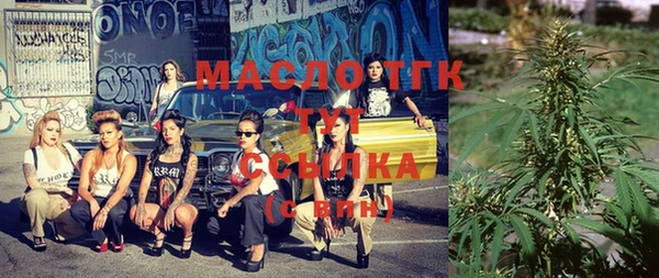 шишки Ельня
