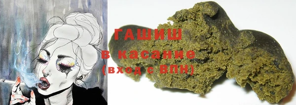 шишки Ельня