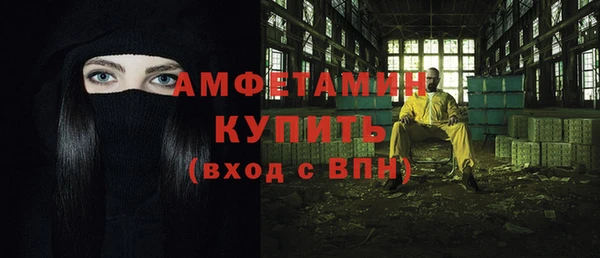 шишки Ельня