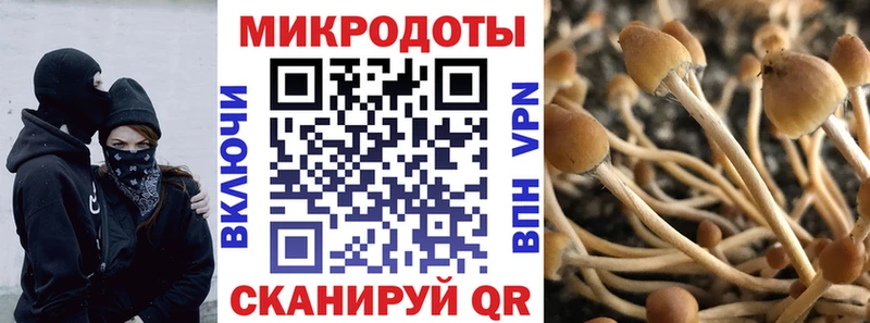 blacksprut tor  Изобильный  Псилоцибиновые грибы Cubensis 