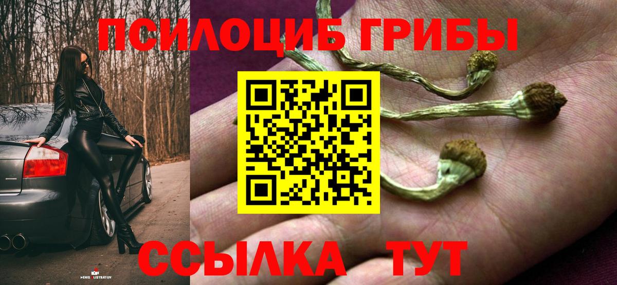 где купить   Галлюциногенные грибы MAGIC MUSHROOMS  Вход с VPN  Изобильный  Псилоцибиновые грибы GOLDEN TEACHER 