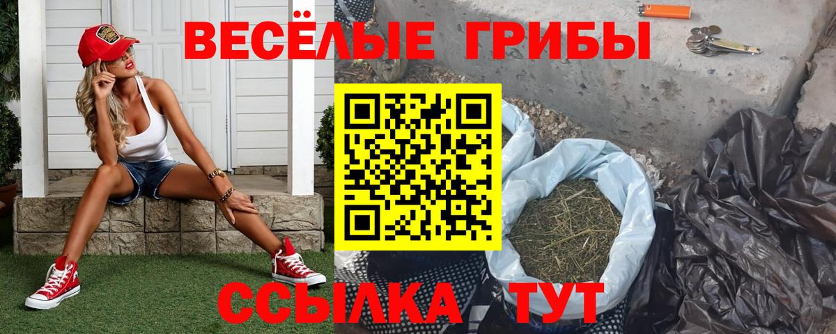 Псилоцибиновые грибы прущие грибы Изобильный