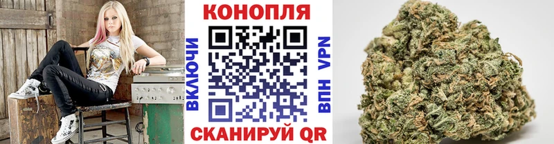 как найти наркотики  Изобильный  Бошки марихуана THC 21% 